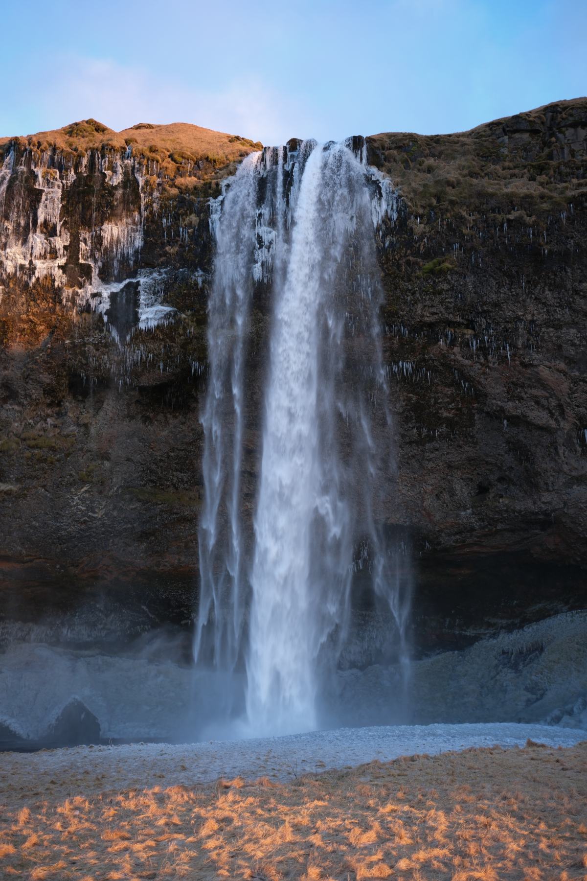 DSCF2468