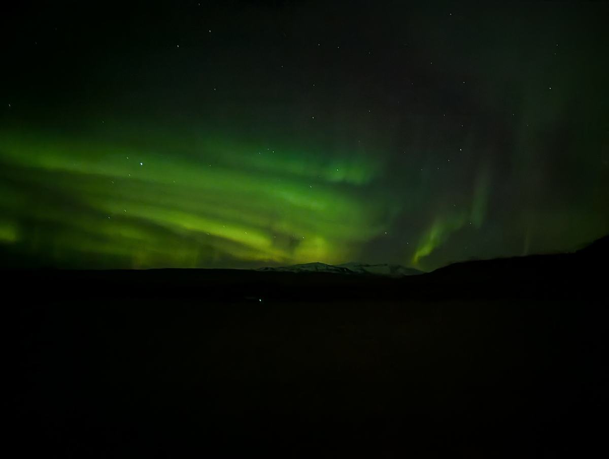 PXL_20260216_000605110-NIGHT